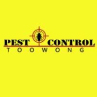 Pest Control Toowong image 1